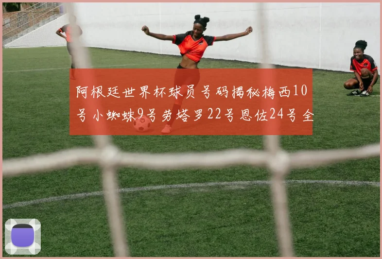 阿根廷世界杯球员号码揭秘梅西10号小蜘蛛9号劳塔罗22号恩佐24号全解析