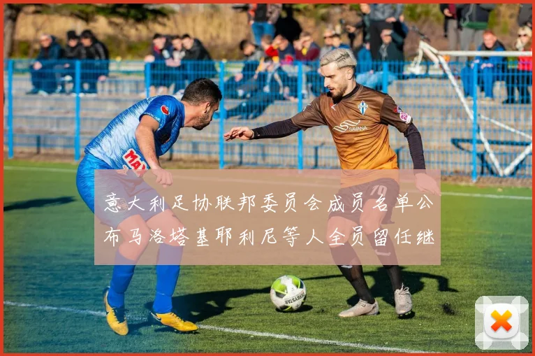 意大利足协联邦委员会成员名单公布马洛塔基耶利尼等人全员留任继续服务
