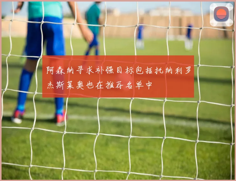 阿森纳寻求补强目标包括托纳利罗杰斯莱奥也在推荐名单中